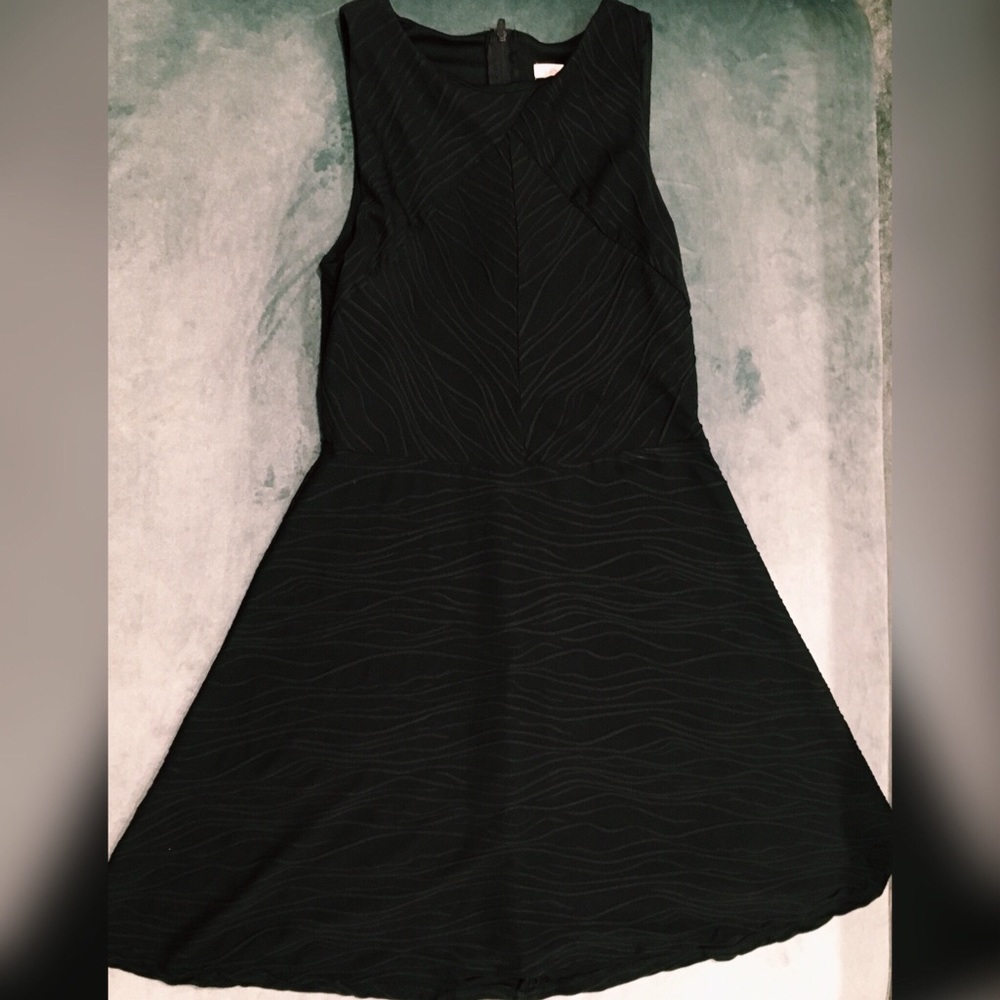 XHILIRATION Textured Black Skater Style Dress